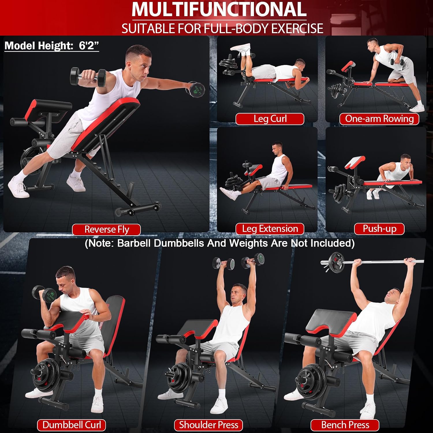 Heavy‑Duty Adjustable Weight Bench with Leg Developer
