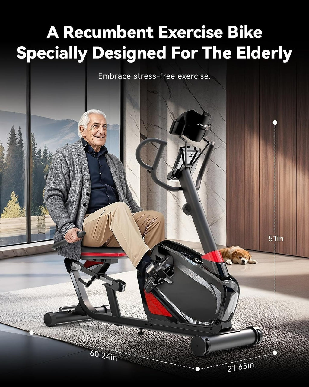 Senior Magnetic Recumbent Bike with Arm‑Leg Workout