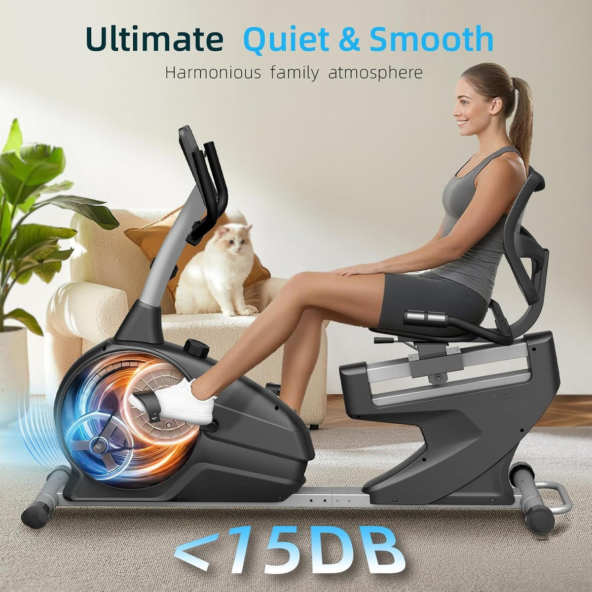 Magnetic Recumbent Exercise Bike for Seniors